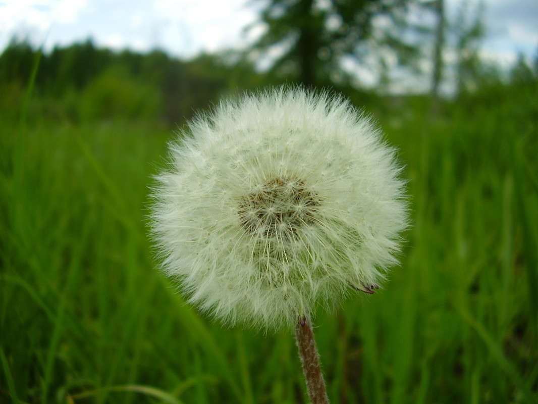 ��������� ����� ����� ����� �� PhotoGeek.ru #������ ��� �������