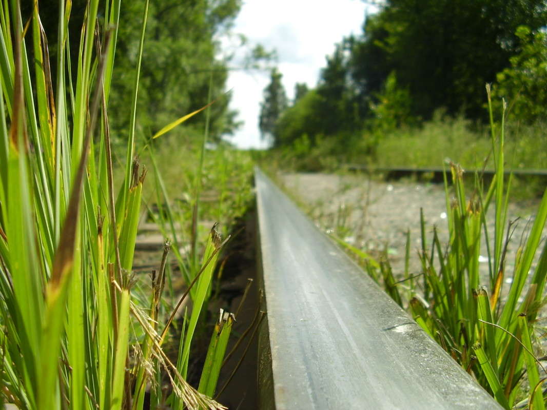 ������� ������� ����� ����� ����� �� PhotoGeek.ru #������ ��� ������� #����� �������������� #����� ��������