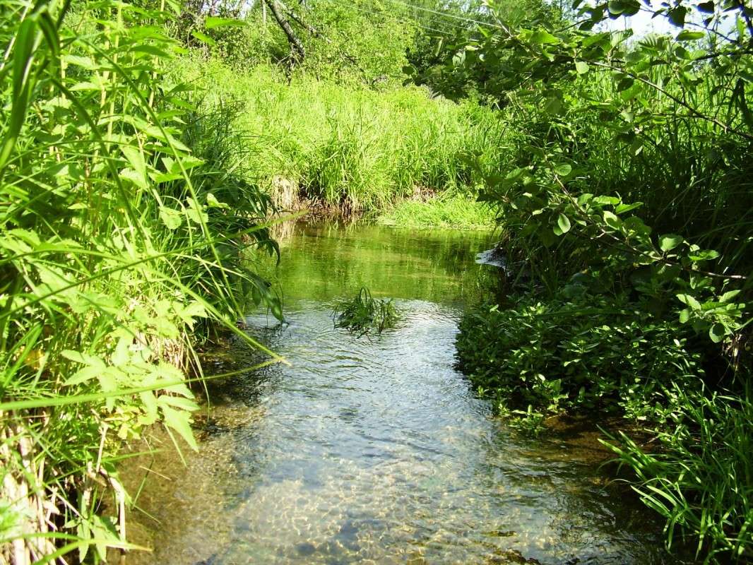 ����� �������� ����� ����� ����� �� PhotoGeek.ru #������ ��� �������