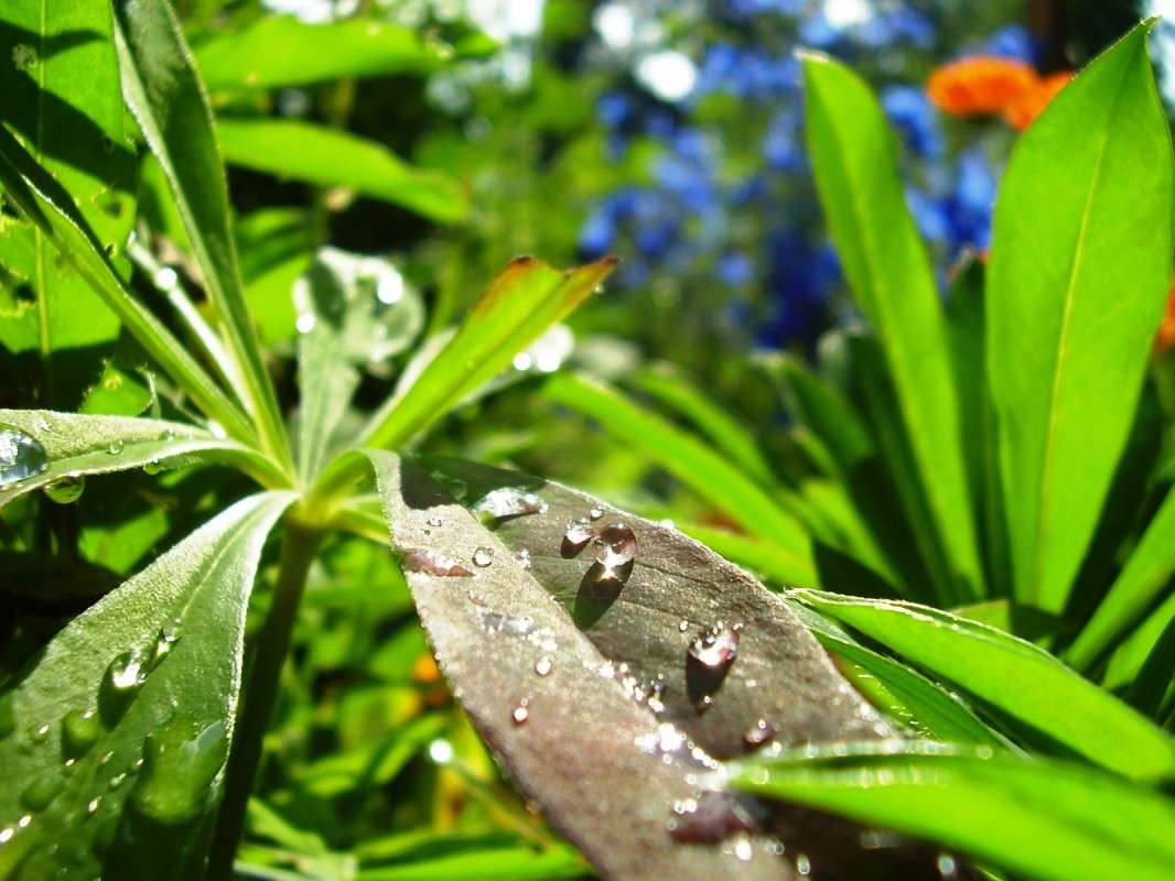 ������� ����� ����� ����� �� PhotoGeek.ru #������ ��� ������� #����� ��������������