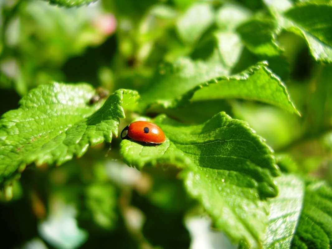 ����� ������� ����� ����� ����� �� PhotoGeek.ru #������ ��� ������� #����� �������������� #����� ��������