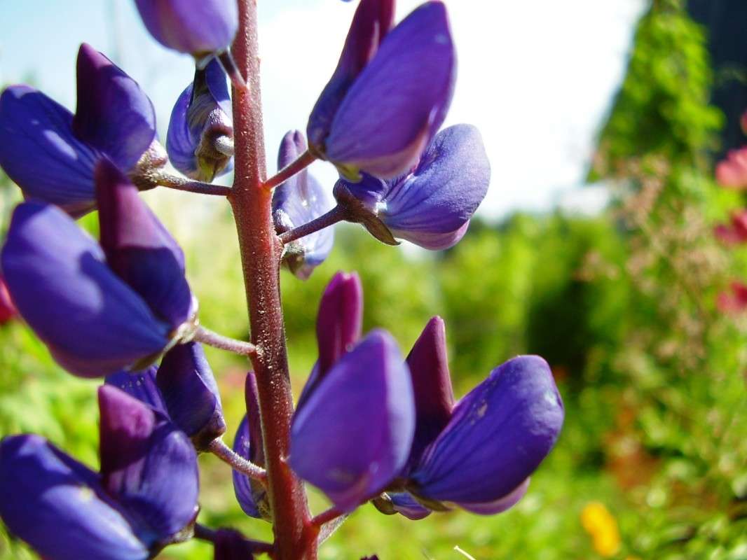 ������� ����� ������ ���� ����� ����� ����� ����� �� PhotoGeek.ru #������ ��� ������� #����� ��������������