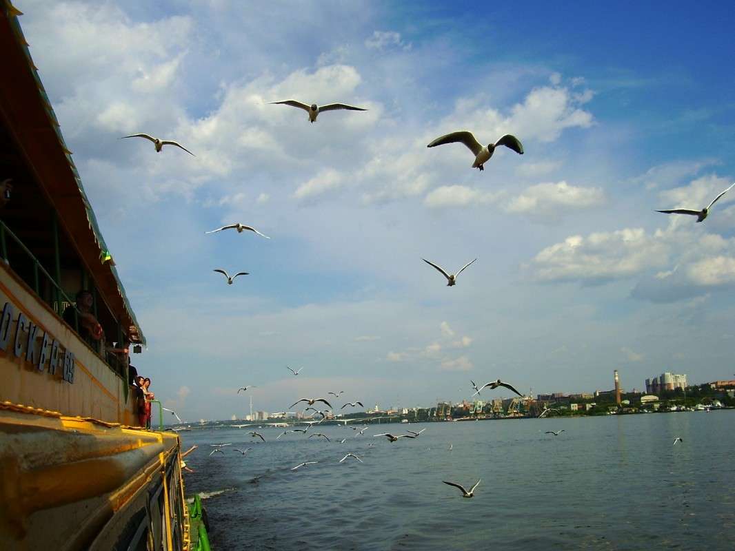 �� ���� ������! ����� ����� ����� �� PhotoGeek.ru #�������� ��� #������ ��� �������