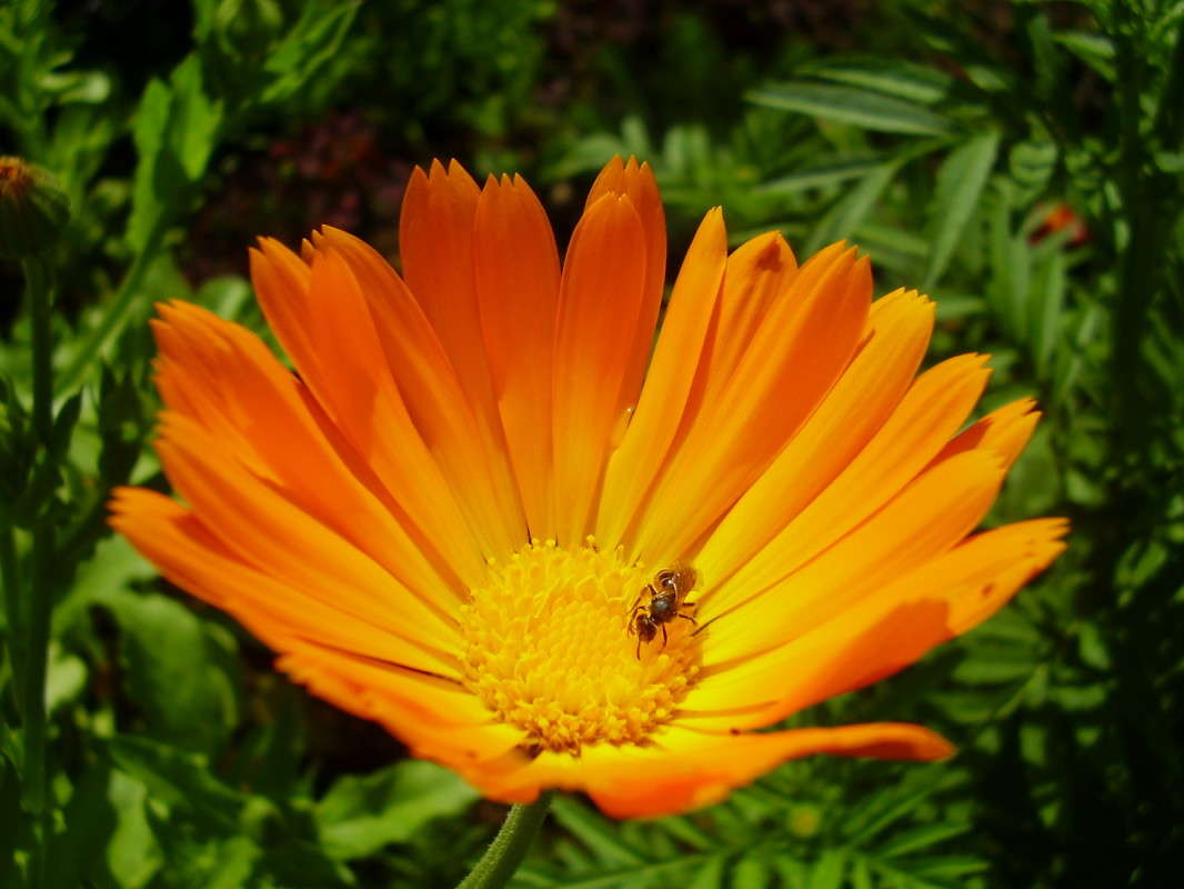 ���� ������ ����� ����� ����� �� PhotoGeek.ru #������ ��� ������� #����� ��������������