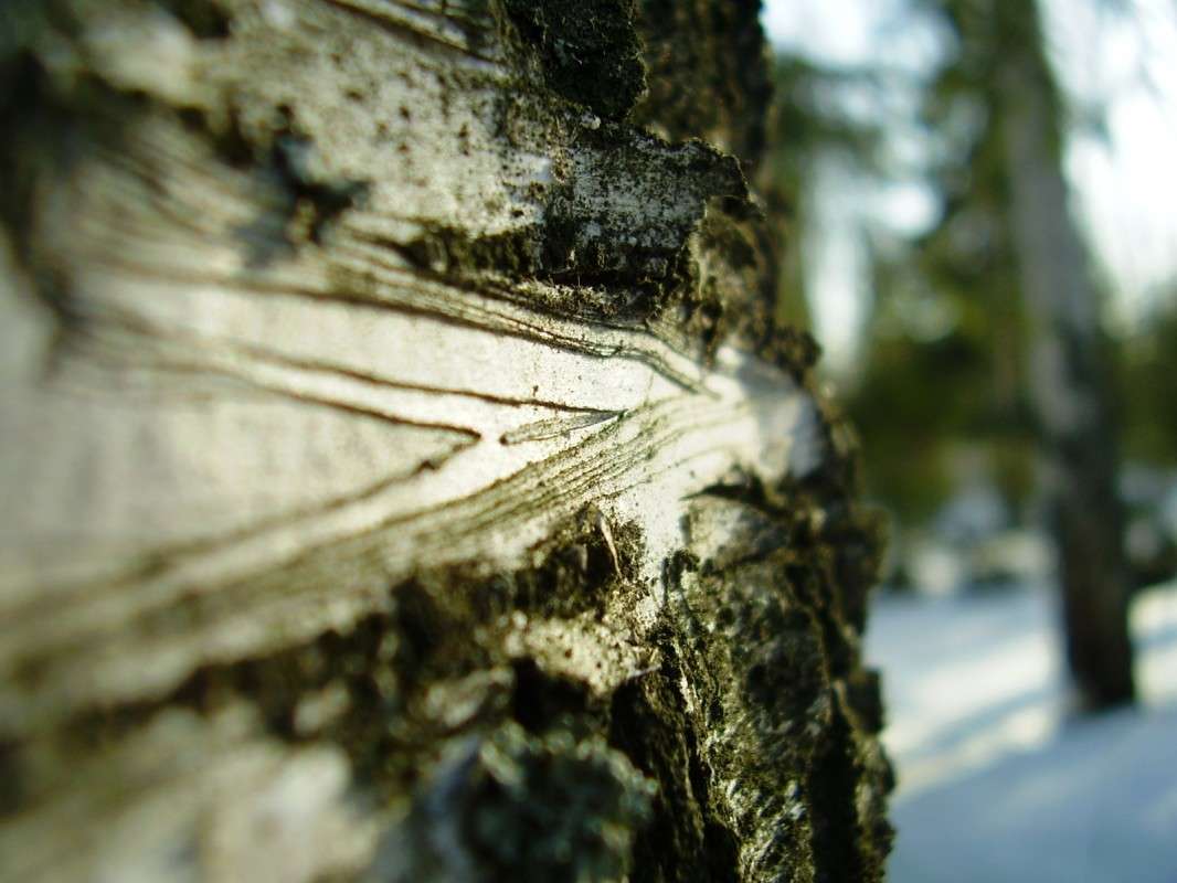 ����� ������ ����� ����� ����� �� PhotoGeek.ru #������ ��� ������� #����� �������������� #����� ��������