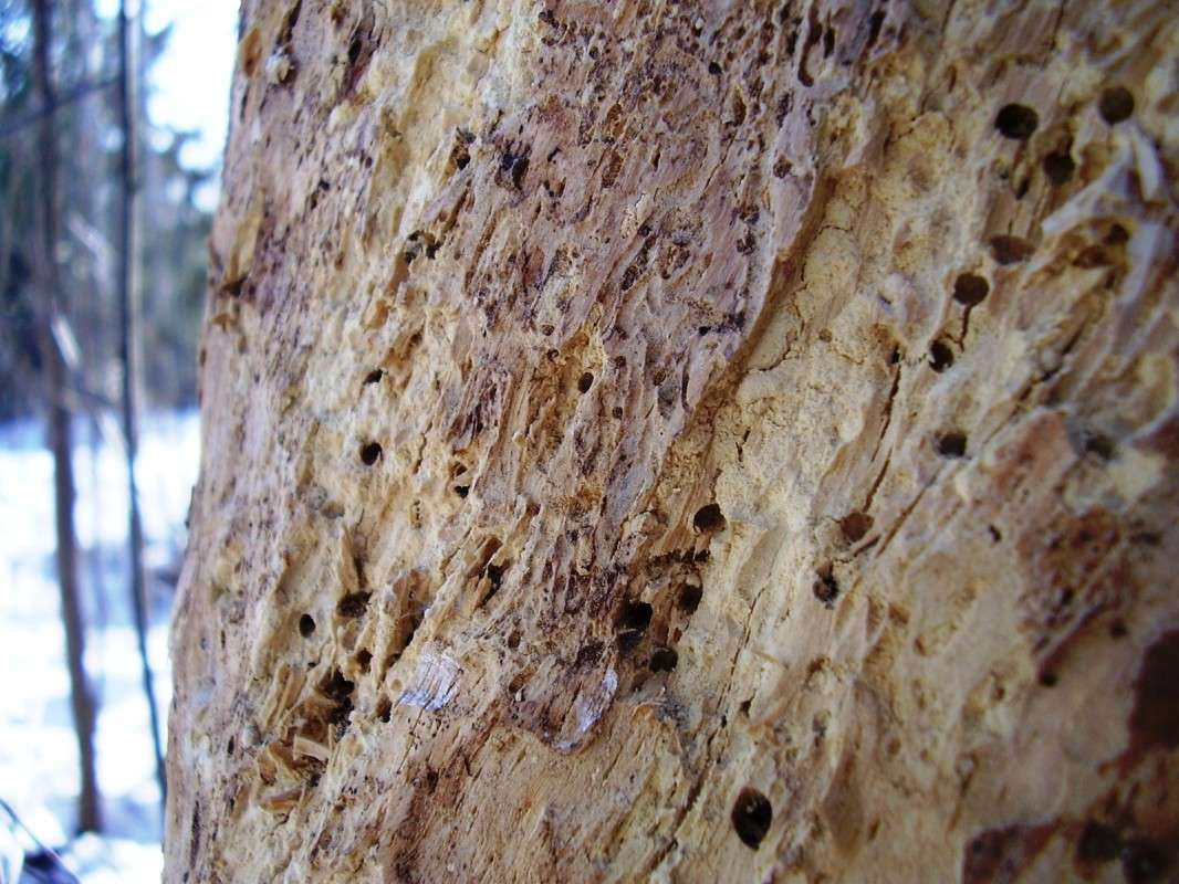 ��� ���� ����� ����� ����� �� PhotoGeek.ru #������ ��� ������� #����� �������������� #����� ��������