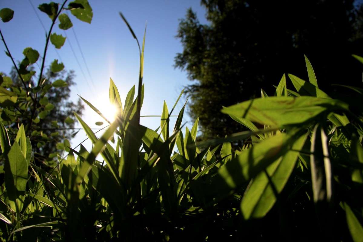 ������� ����� � ����� � ����� ����� ����� ����� �� PhotoGeek.ru #������ ��� ������� #����� �������������� #����� ��������