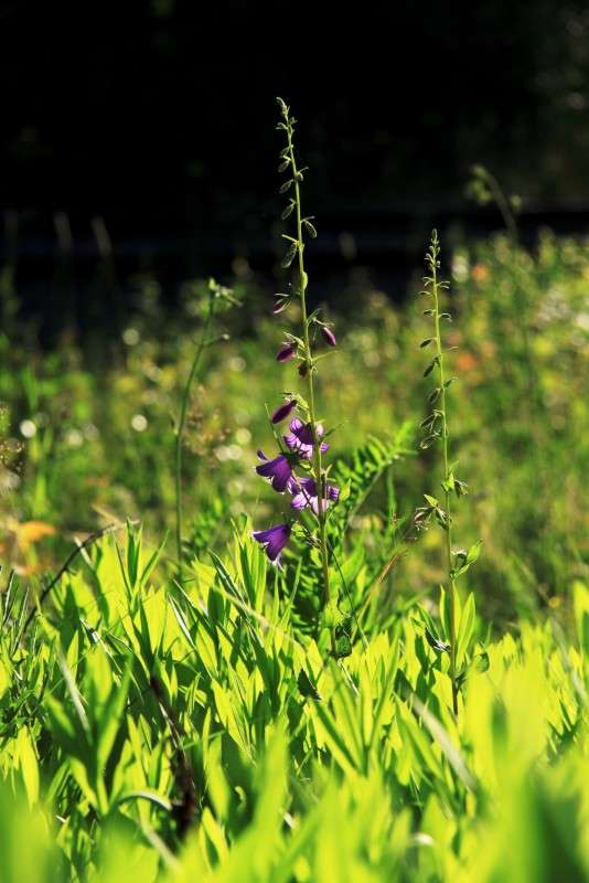 �������� ���� ����� ����� ����� �� PhotoGeek.ru #������ ��� ������� #����� �������������� #����� ��������