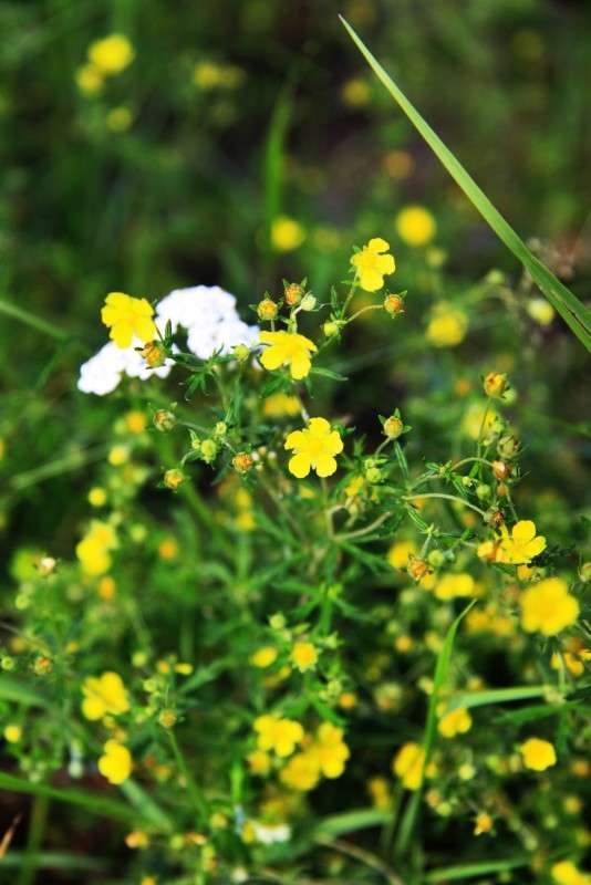 ������� ���� ����� ����� ����� �� PhotoGeek.ru #������ ��� ������� #����� �������������� #����� ��������