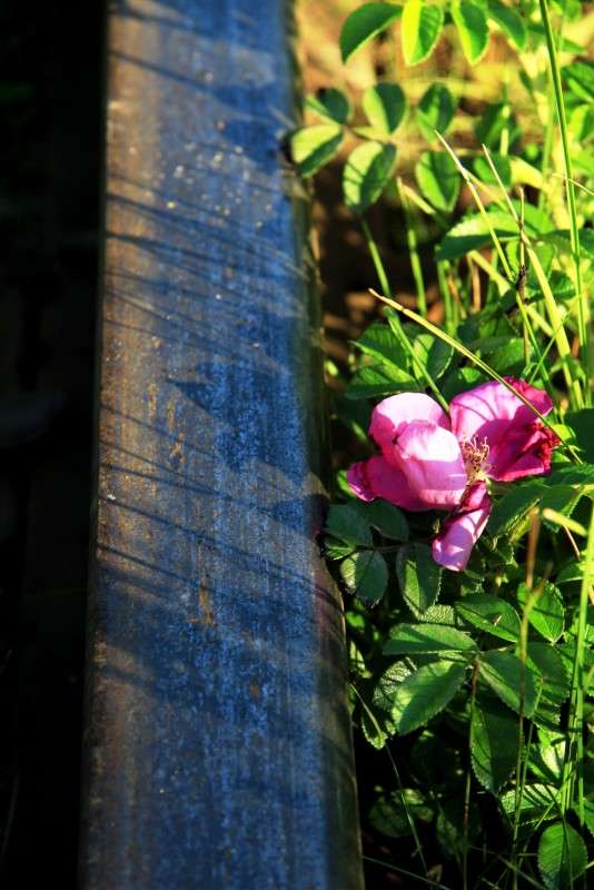 ����� ���� ������: ������� � ����� ����� ����� ����� �� PhotoGeek.ru #������ ��� ������� #����� �������������� #����� ��������