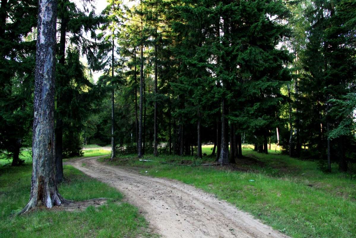 �������� ��� ����� ����� ����� �� PhotoGeek.ru #������ ��� �������