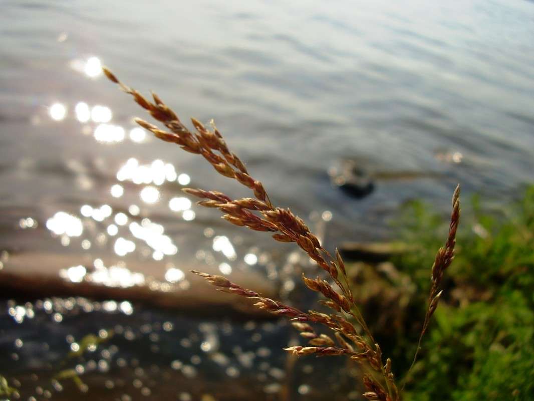 ������ ������ � ���� ����� ����� ����� �� PhotoGeek.ru #������ ��� ������� #����� ��������������