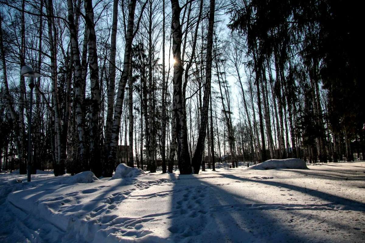 ����� �������� ����� ����� ����� �� PhotoGeek.ru #������ ��� �������