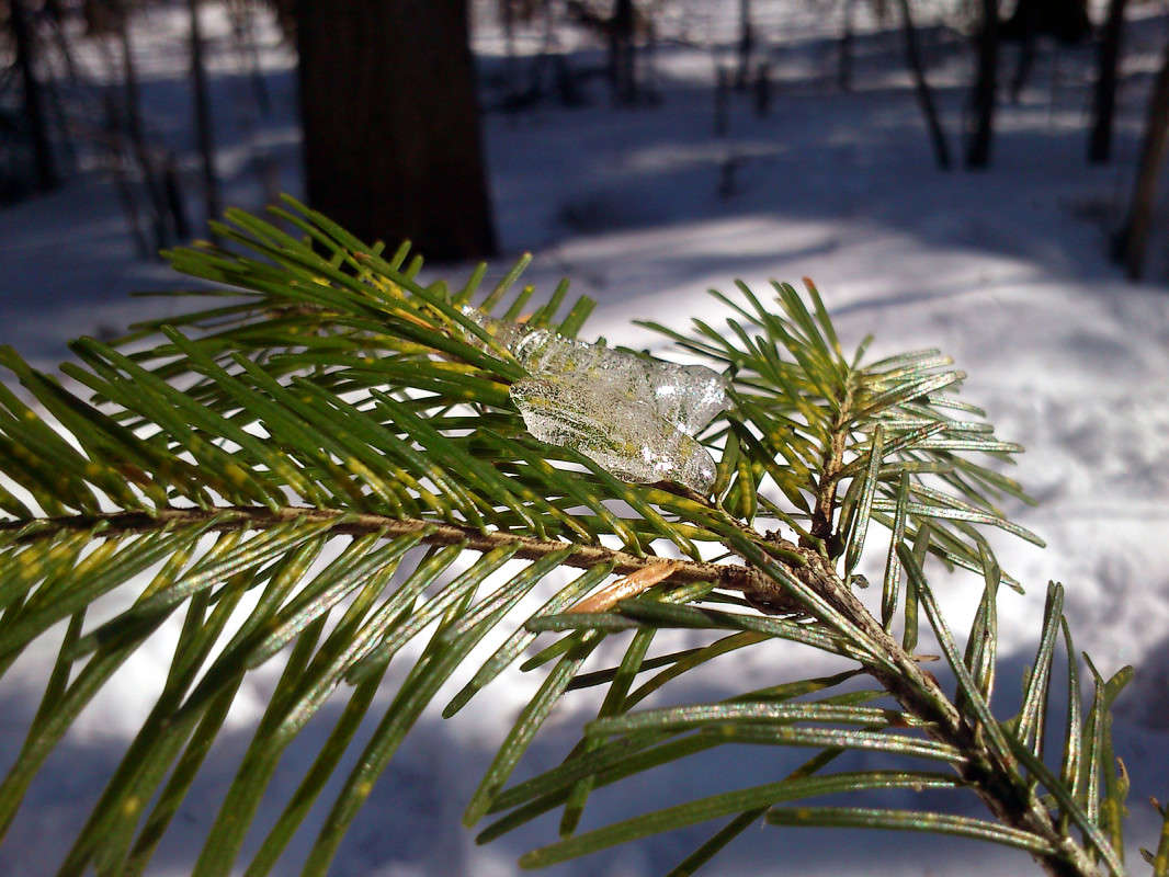 �� ������ ���� ����� ������� �������� ������� ����� ����� ����� �� PhotoGeek.ru #������ ��� �������