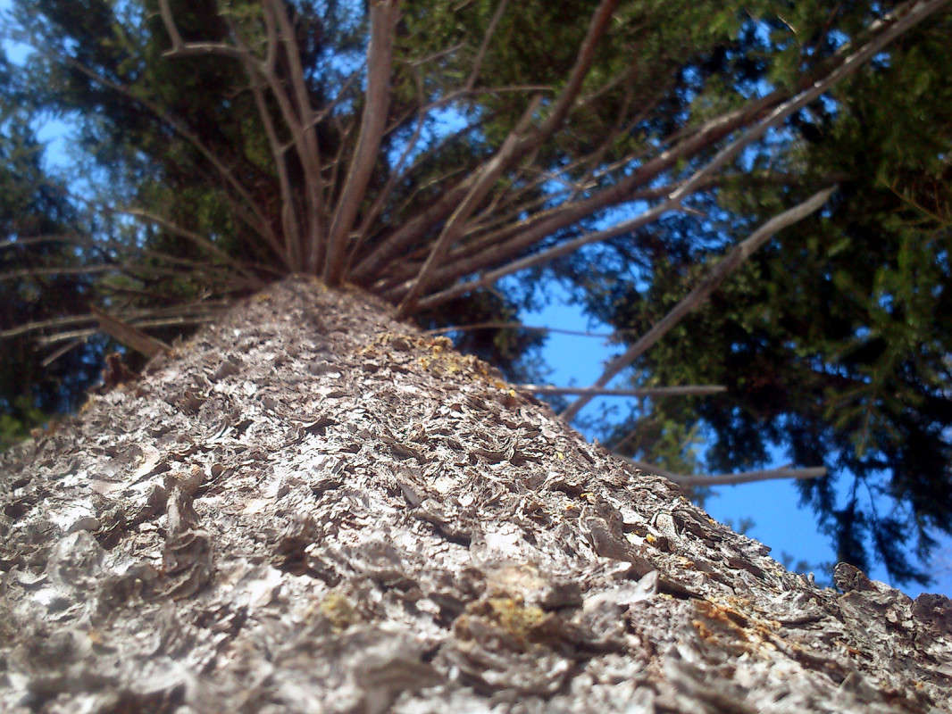 ����� ����� ����� ����� �� PhotoGeek.ru #������ ��� �������