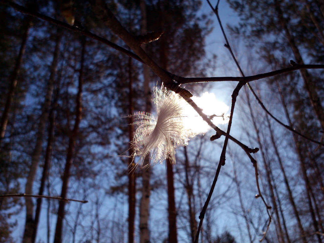 ��������� ����� ����� ����� �� PhotoGeek.ru #�������� ��� #������ ��� ������� #����� ��������