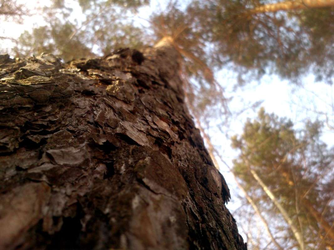 ����� �������� � ���� ���! ����� ����� ����� �� PhotoGeek.ru #������ ��� ������� #����� �������������� #����� ��������