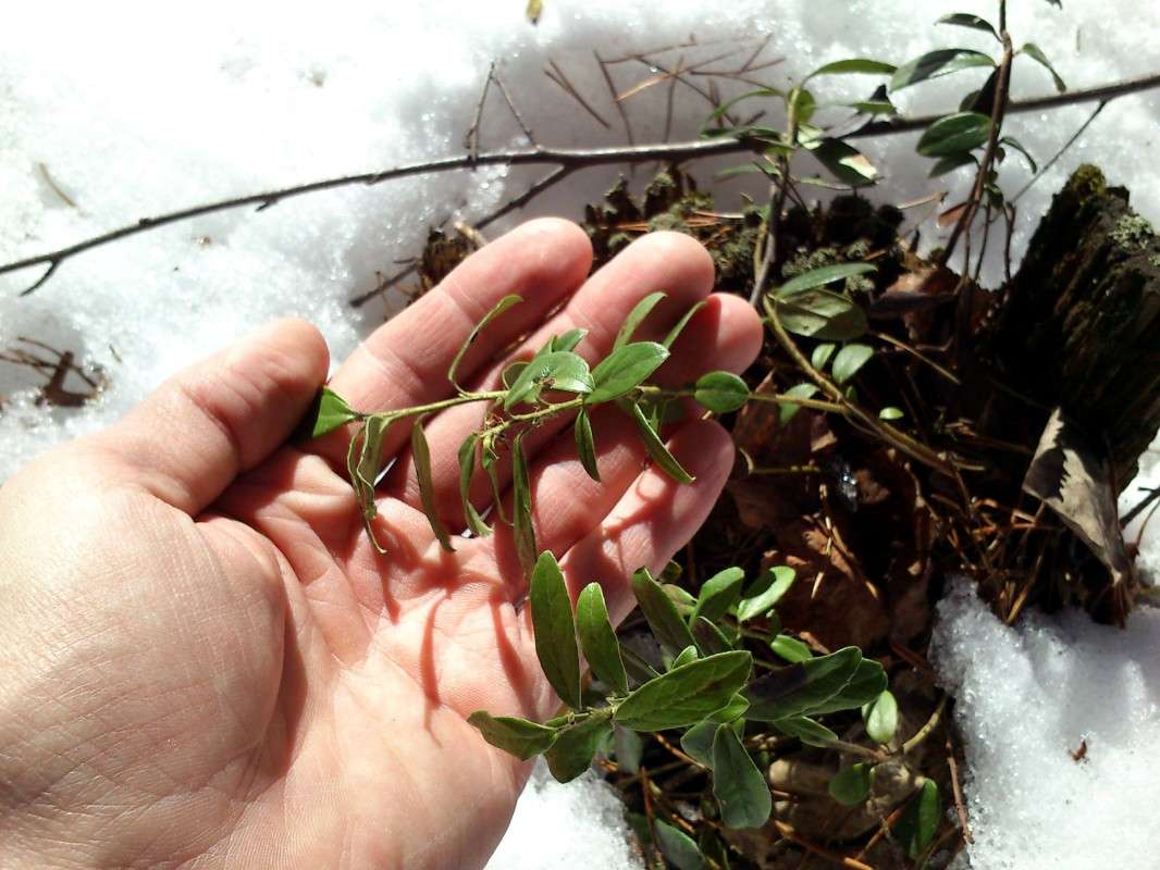 ������������ ����� ����� ����� �� PhotoGeek.ru #������ ��� ������� #�������� ���������� #�������� #�������������