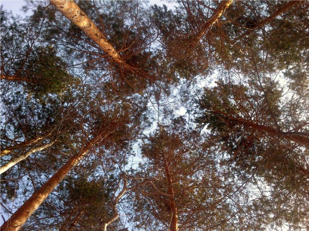 ������� �� ���� ����� ������� ����� ����� ����� ����� �� PhotoGeek.ru #������ ��� ������� #����� ��������������