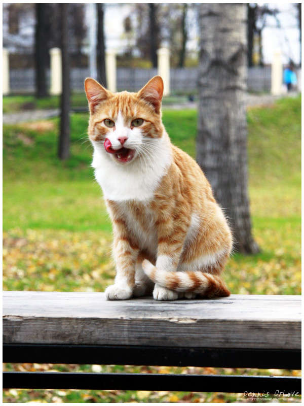 ���� ����� ����� ����� �� PhotoGeek.ru #�������� ���