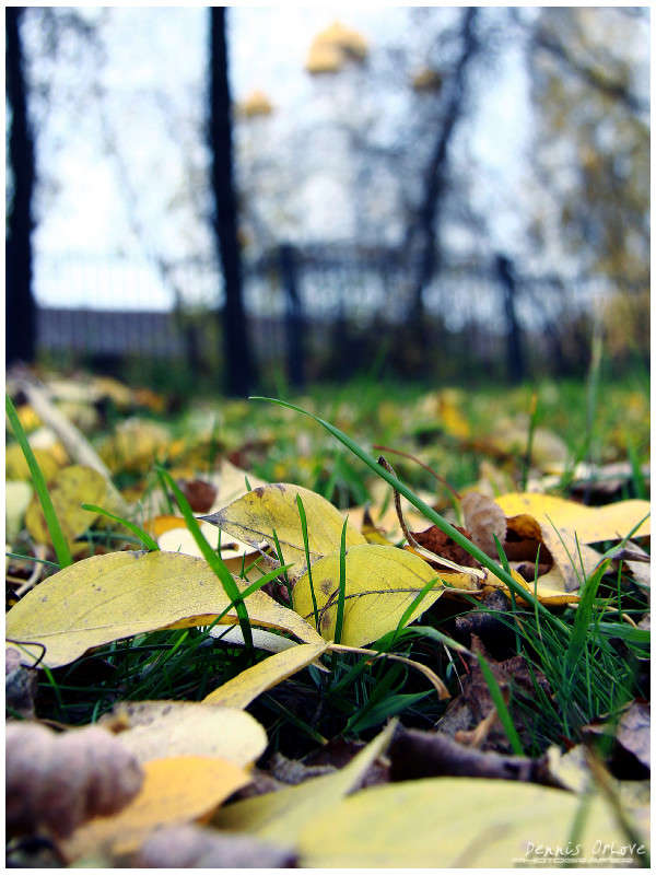 ���-�� ������ ����� ����� ����� �� PhotoGeek.ru #������ ��� ������� #���������