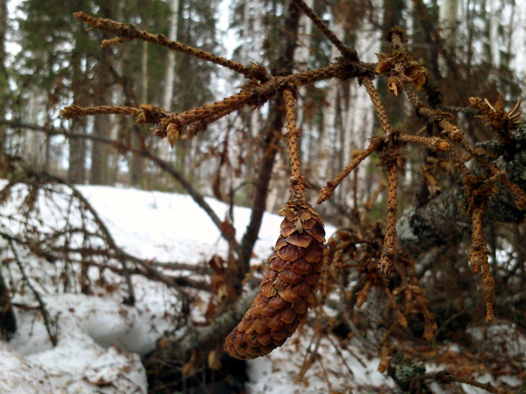 ����� �� ����� ����� ����� ����� �� PhotoGeek.ru #������ ��� �������