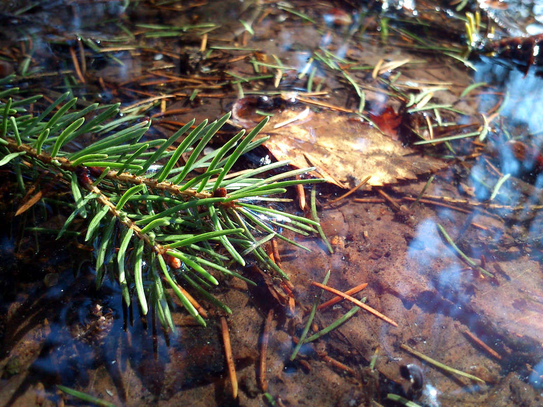 ������ ����� � ���� ��������� ����� ����� ����� �� PhotoGeek.ru #������ ��� �������