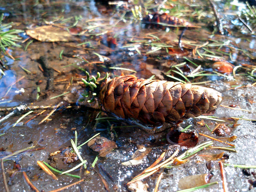 ����� � ���� ��������� ����� ����� ����� �� PhotoGeek.ru #������ ��� �������