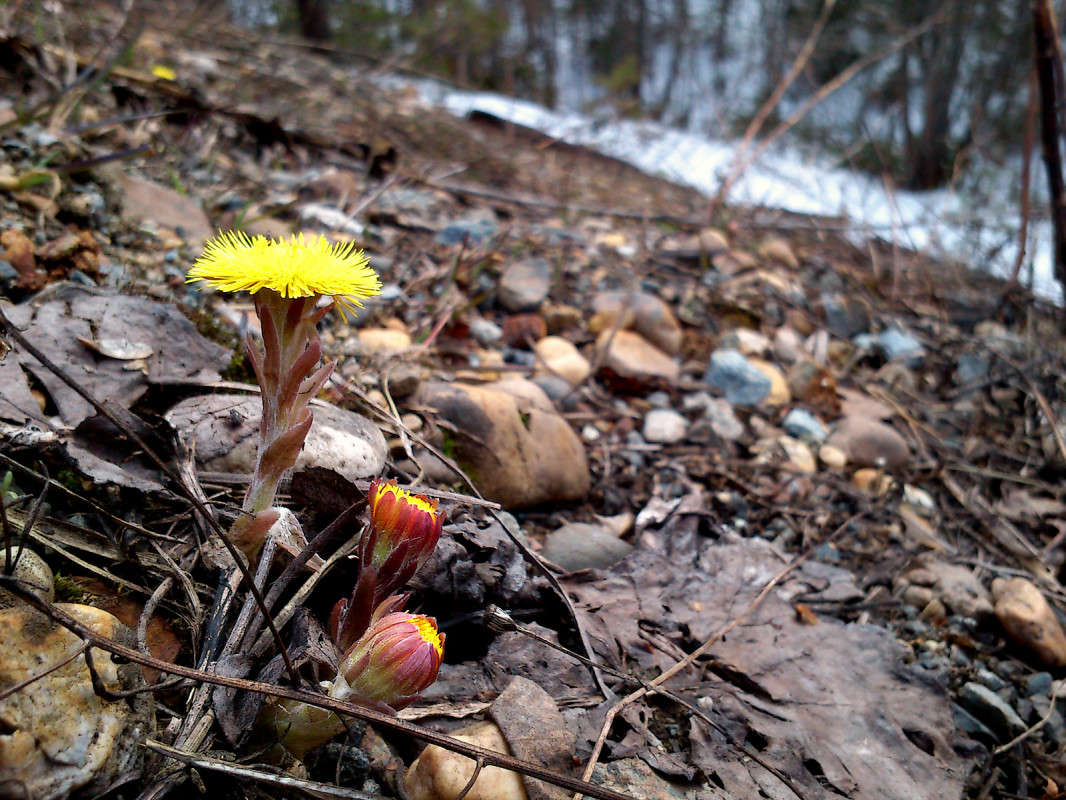 ������ ����� ���� ����� ����� ����� �� PhotoGeek.ru #������ ��� ������� #����� ��������������