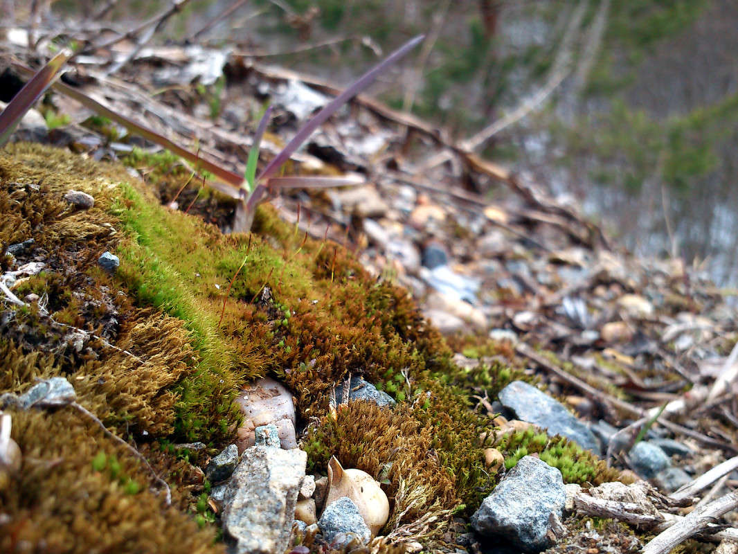 ��� � �����, ������ � �������, ������ � ��������... ����� ����� ����� �� PhotoGeek.ru #������ ��� ������� #����� ��������������