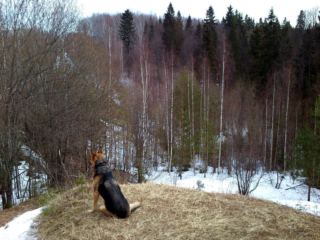 ������... ����� ����� ����� �� PhotoGeek.ru #�������� ���