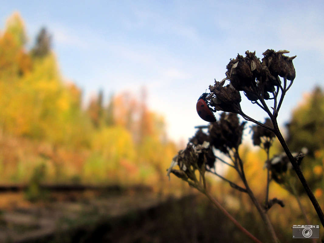 �� ���� � ���� ����� ����� ����� �� PhotoGeek.ru #������ ��� �������