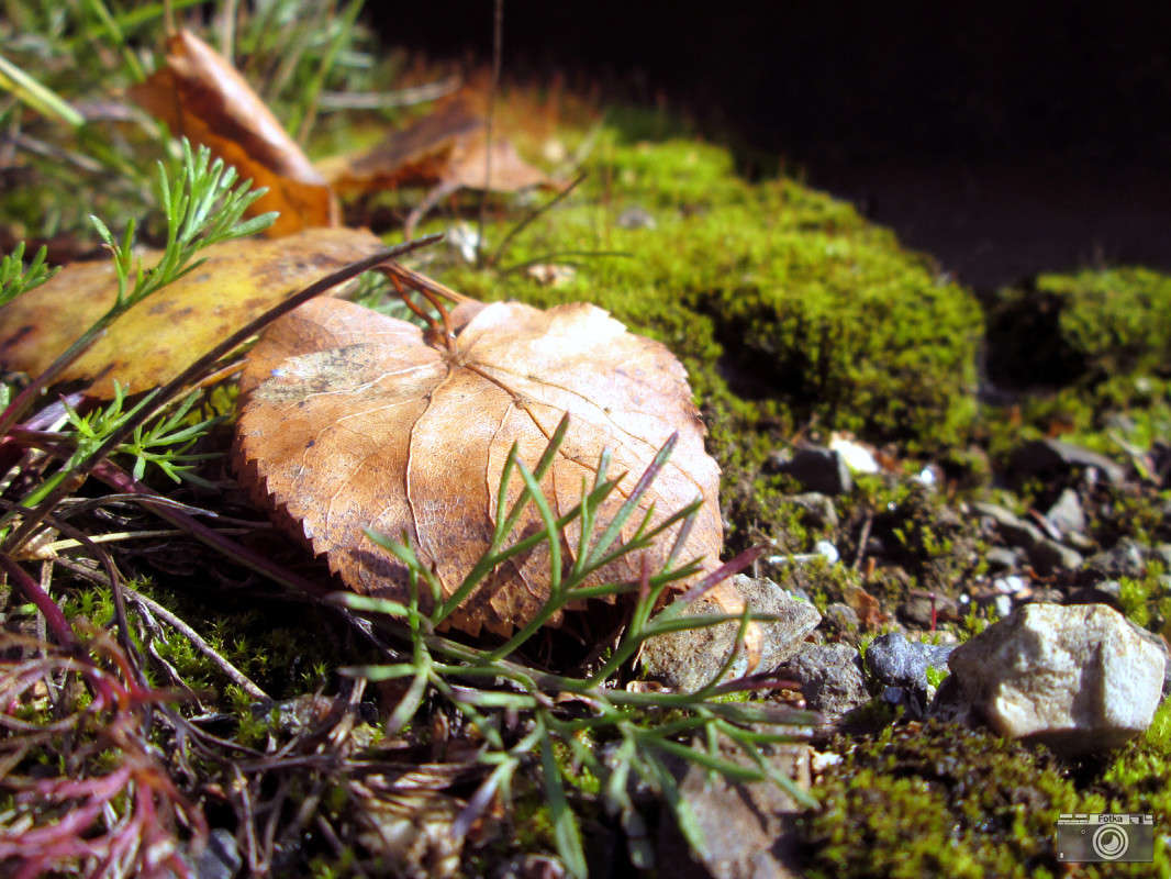 ���� �������� ���� ����� ����� ����� �� PhotoGeek.ru #������ ��� �������