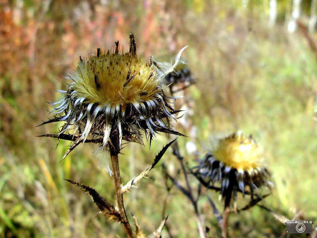 ������� ��������� ����� ����� ����� �� PhotoGeek.ru #������ ��� �������