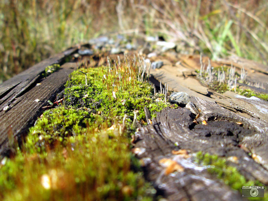 ������ ����� ����� ����� ����� �� PhotoGeek.ru #������ ��� �������