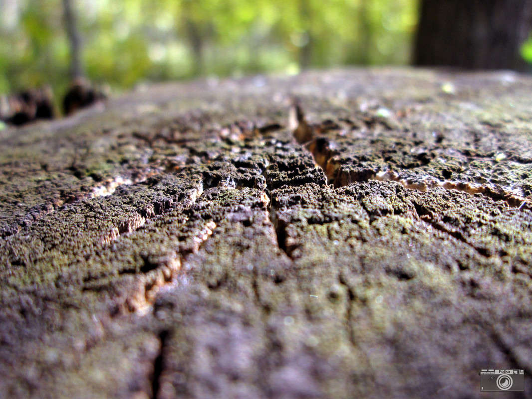 ������ ������� ����� ����� ����� ����� �� PhotoGeek.ru #������ ��� �������