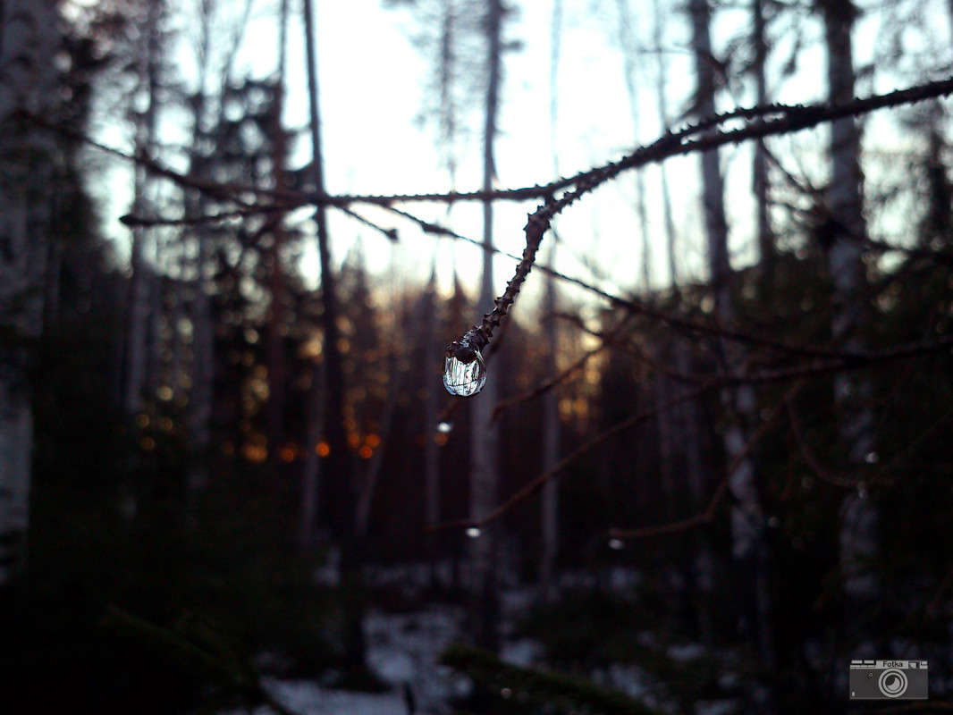 ����� ����� ����� ����� �� PhotoGeek.ru #������ ��� �������