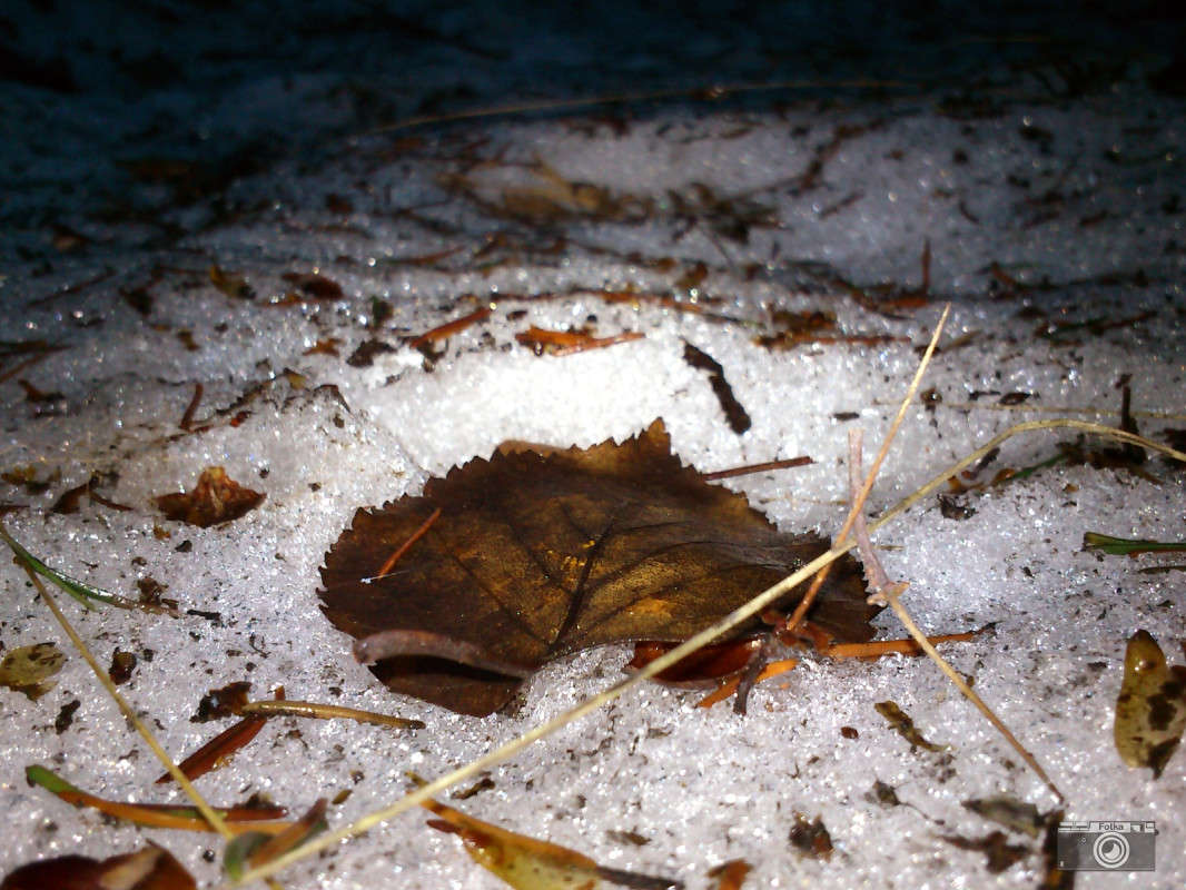 ���� ������ ����� ����� ����� �� PhotoGeek.ru #������ ��� �������