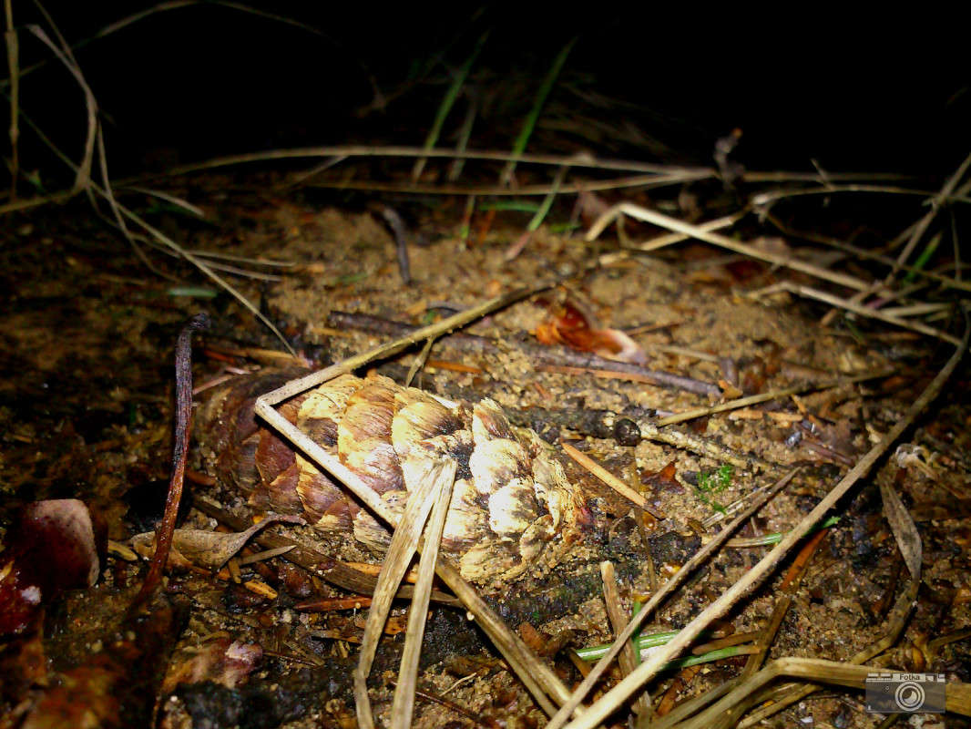 ����� ����� ����� ����� �� PhotoGeek.ru #������ ��� �������