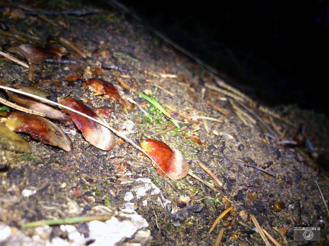 ������ ����� ����� ����� �� PhotoGeek.ru #������ ��� �������