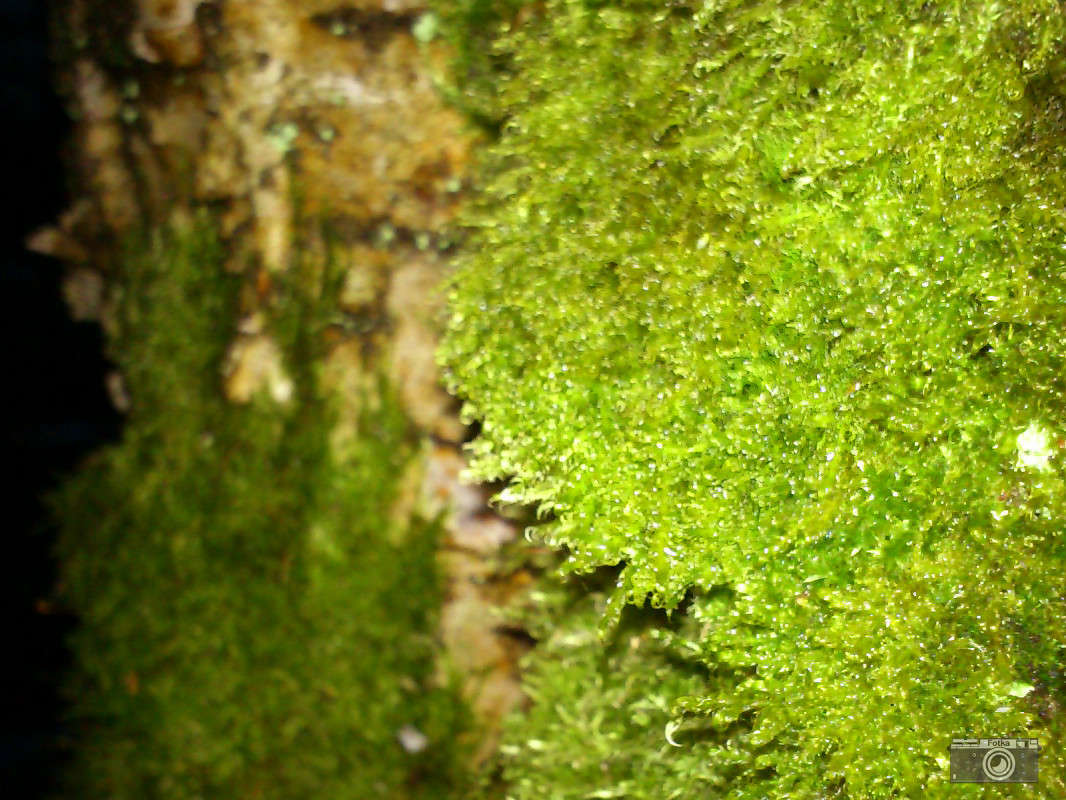 ��� �� ����� ����� ����� ����� �� PhotoGeek.ru #������ ��� �������