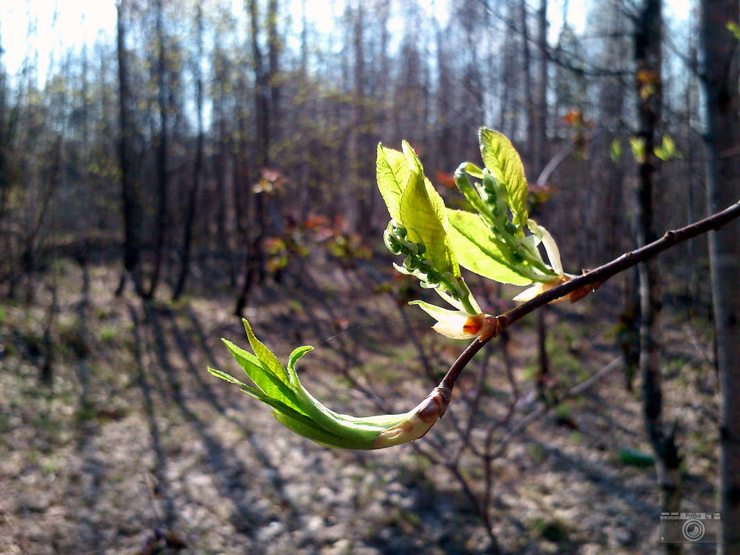 �������� ����� ����� ����� �� PhotoGeek.ru #������ ��� ������� #����� �������������� #���������