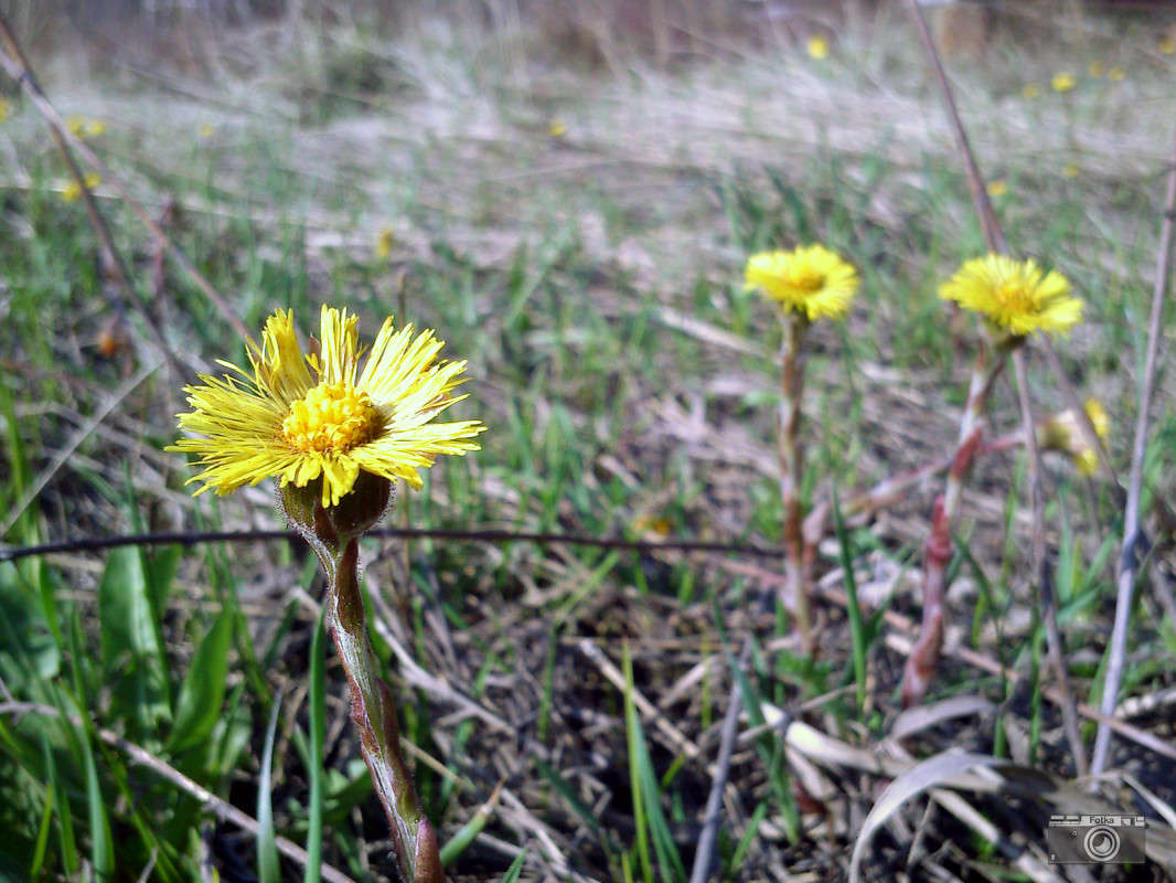 ������ ���������� ����� ����� ����� �� PhotoGeek.ru #������ ��� ������� #����� �������������� #���������