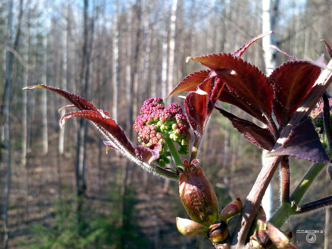 ����� ����� ����� ����� �� PhotoGeek.ru #������ ��� ������� #����� �������������� #���������