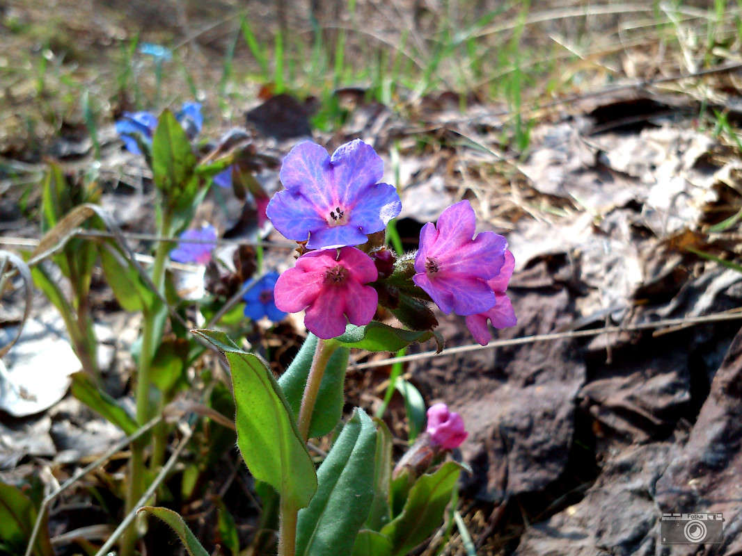 ������� ����� ����� ����� ����� �� PhotoGeek.ru #������ ��� ������� #����� �������������� #���������