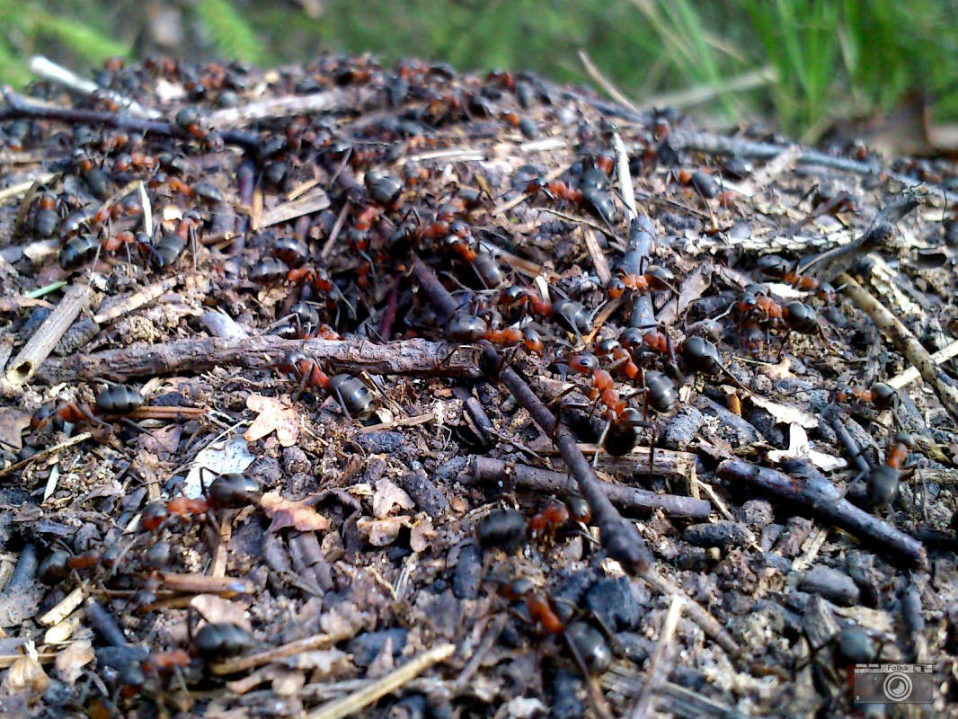 ������� ����� ����� ����� �� PhotoGeek.ru #������ ��� ������� #���������