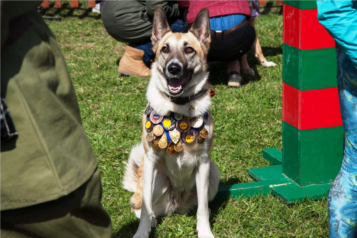 �������� ����� ����� ����� �� PhotoGeek.ru #������� #��������