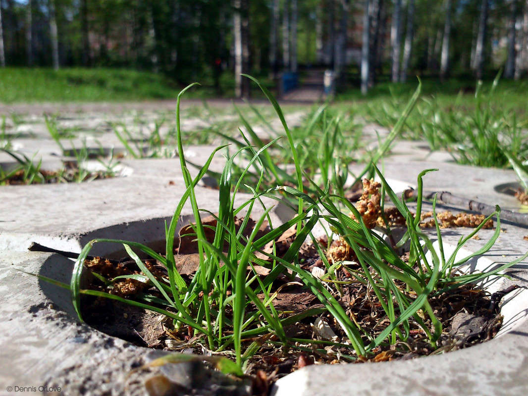 � ������ ����� ���� ���� ����� ����� ����� �� PhotoGeek.ru #������ ��� ������� #���������