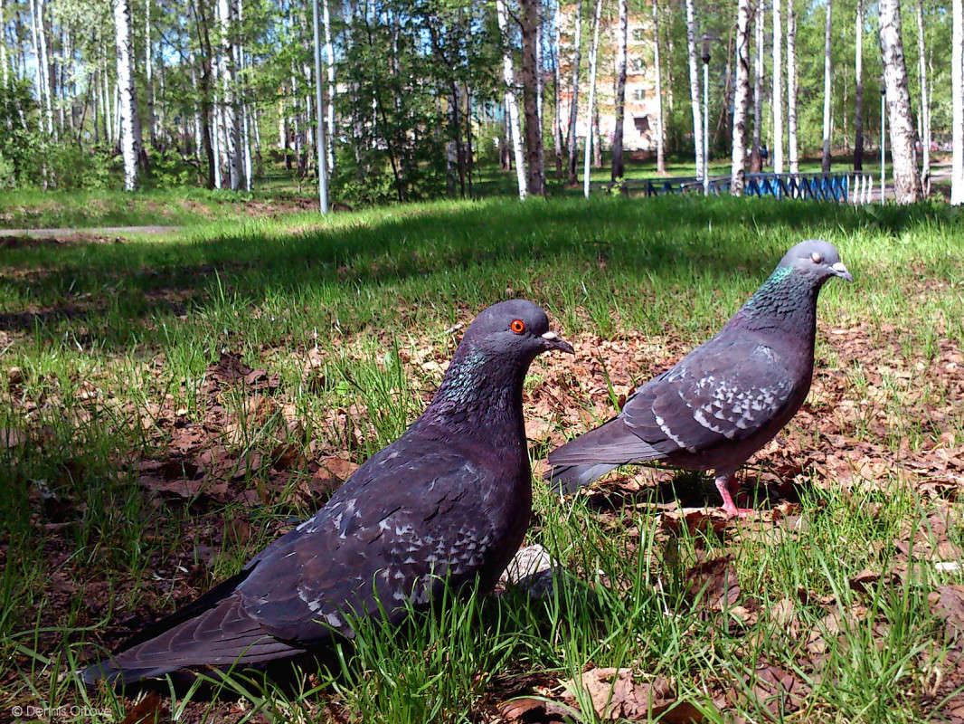 ���� ����� ����� ����� ����� �� PhotoGeek.ru #�������� ��� #������ ��� ������� #����� ��� ��� ���������