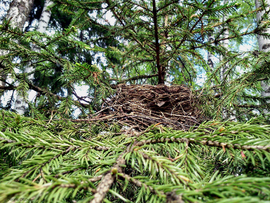 ��� ����� ����� ����� �� PhotoGeek.ru #������ ��� ������� #����� �������������� #���������